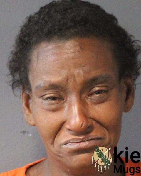 Booking photo of Shannon Nicole Barnett