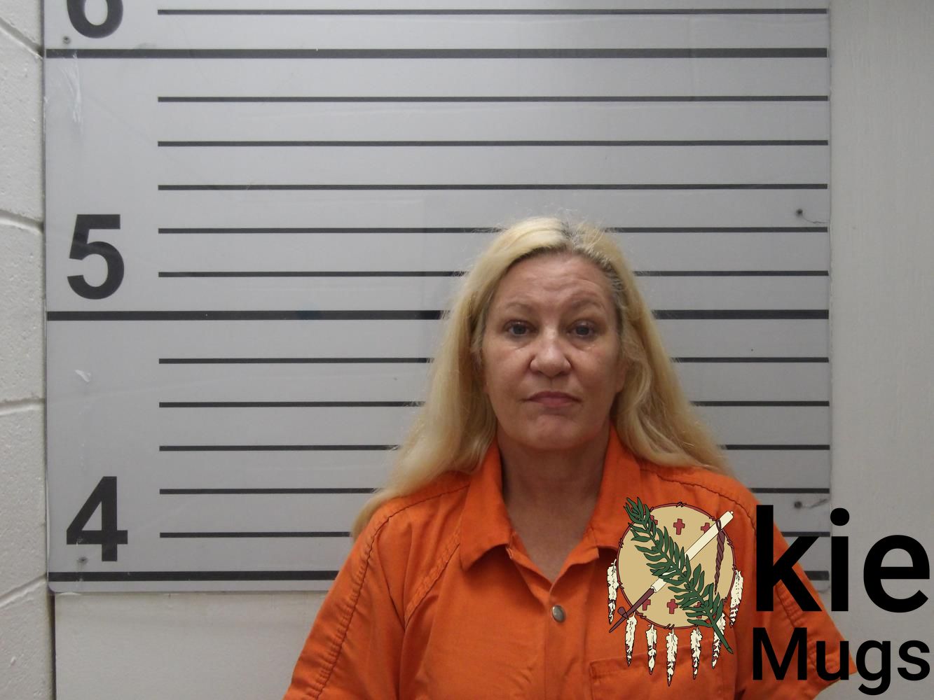 Booking photo of Robin Ann Gibson
