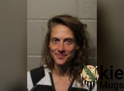 Booking photo of Heather Ann Hill