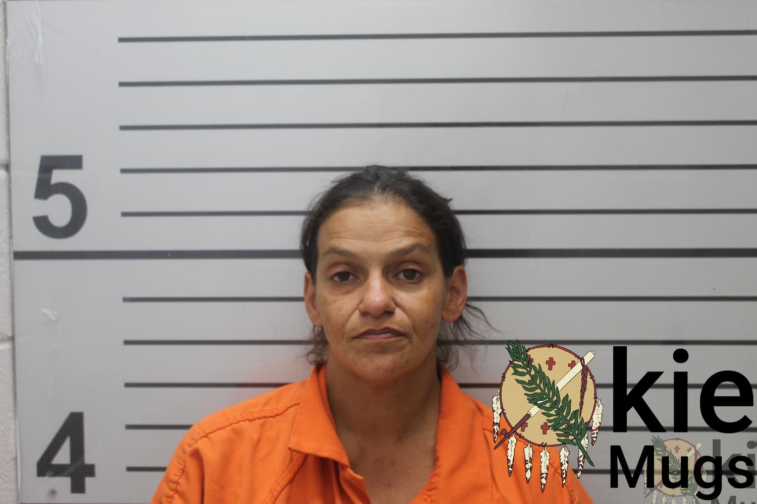 Booking photo of Mandie Lynn Fredde