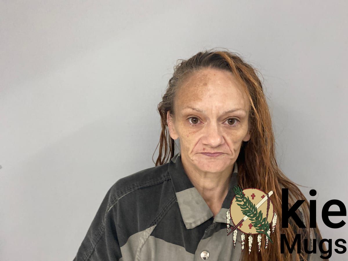 Booking photo of Brandy Morrison