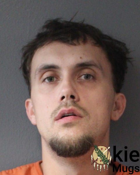 Booking photo of Jordan Kyle Medlock