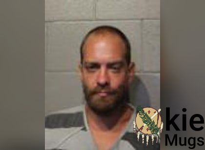 Booking photo of Carl Steven Ulwelling