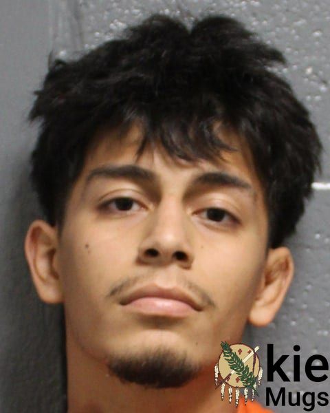 Booking photo of Felipe - Villarreal