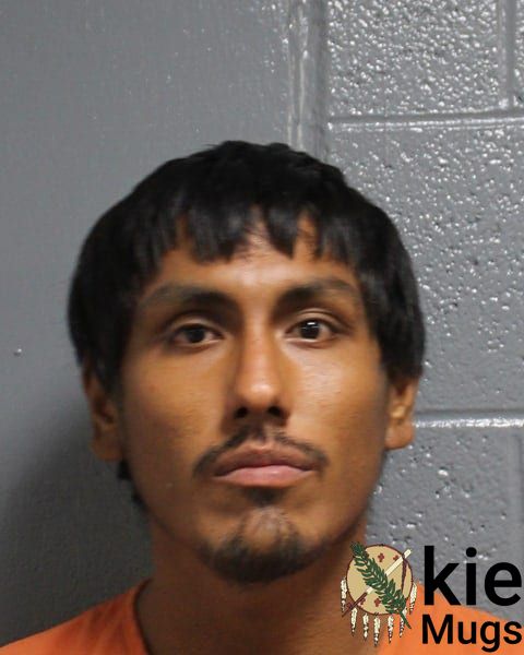 Booking photo of Aleron Hawk Silverhorn