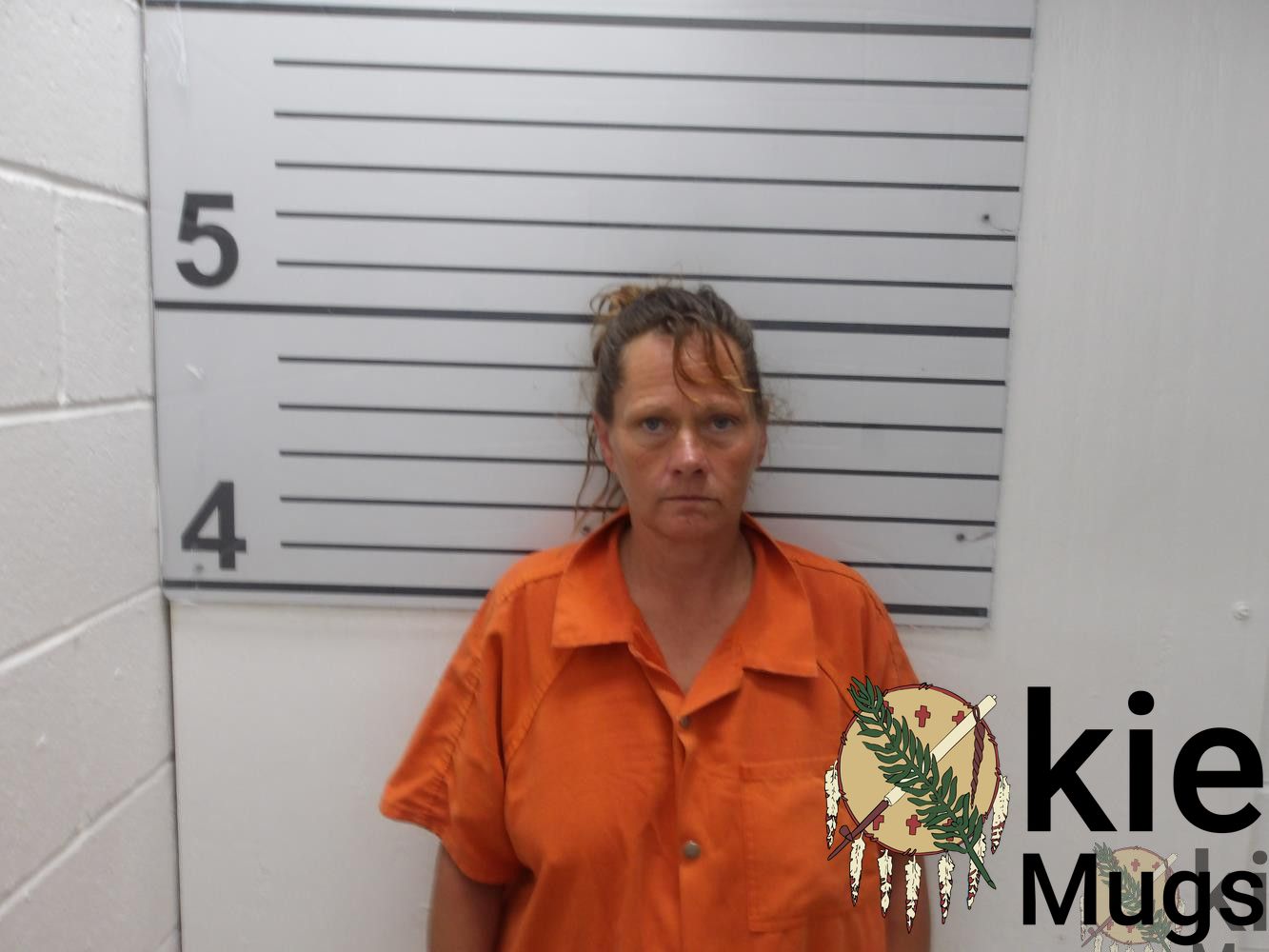 Booking photo of Julie Ballinger