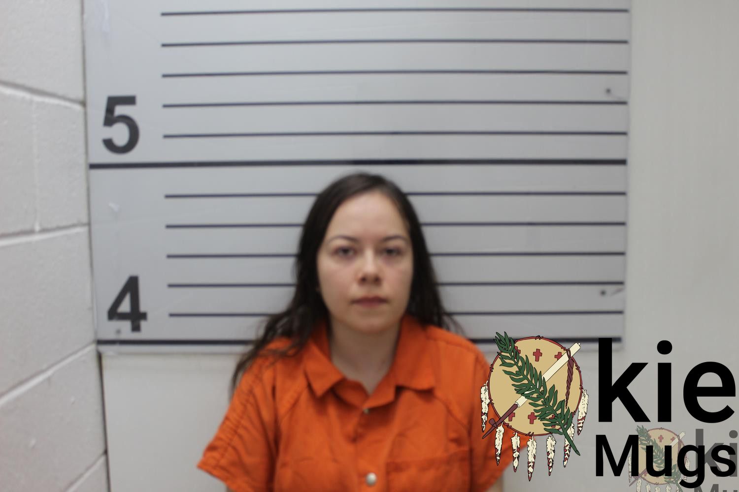 Booking photo of LENA JAMESON