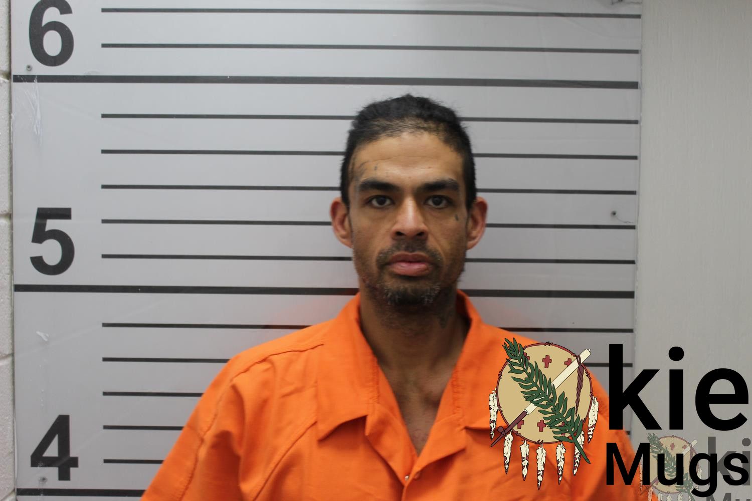 Booking photo of LEWIS MITCHELL (CREEK) WALKER