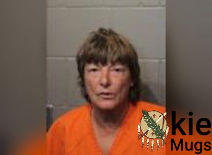 Booking photo of Melissa Ann Wells