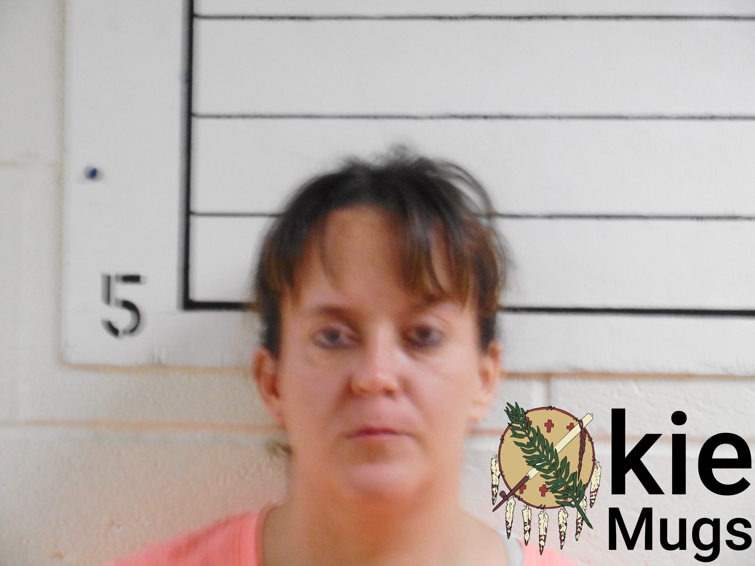 Booking photo of BRANDY MARIE HILL
