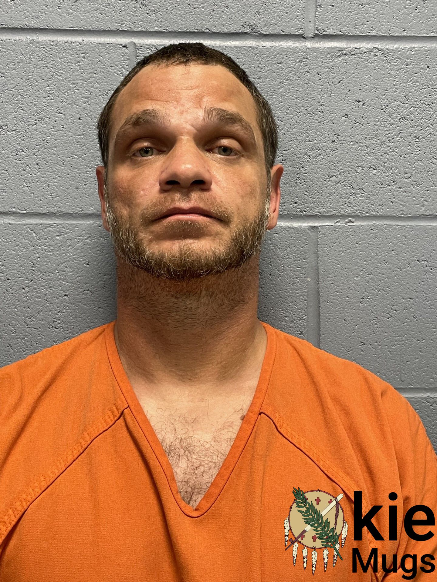 Booking photo of BRANDON CICHON