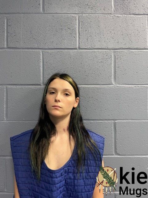 Booking photo of LAINEE CAMP