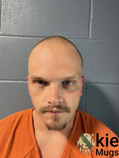 Booking photo of NATHAN WILLIAMS
