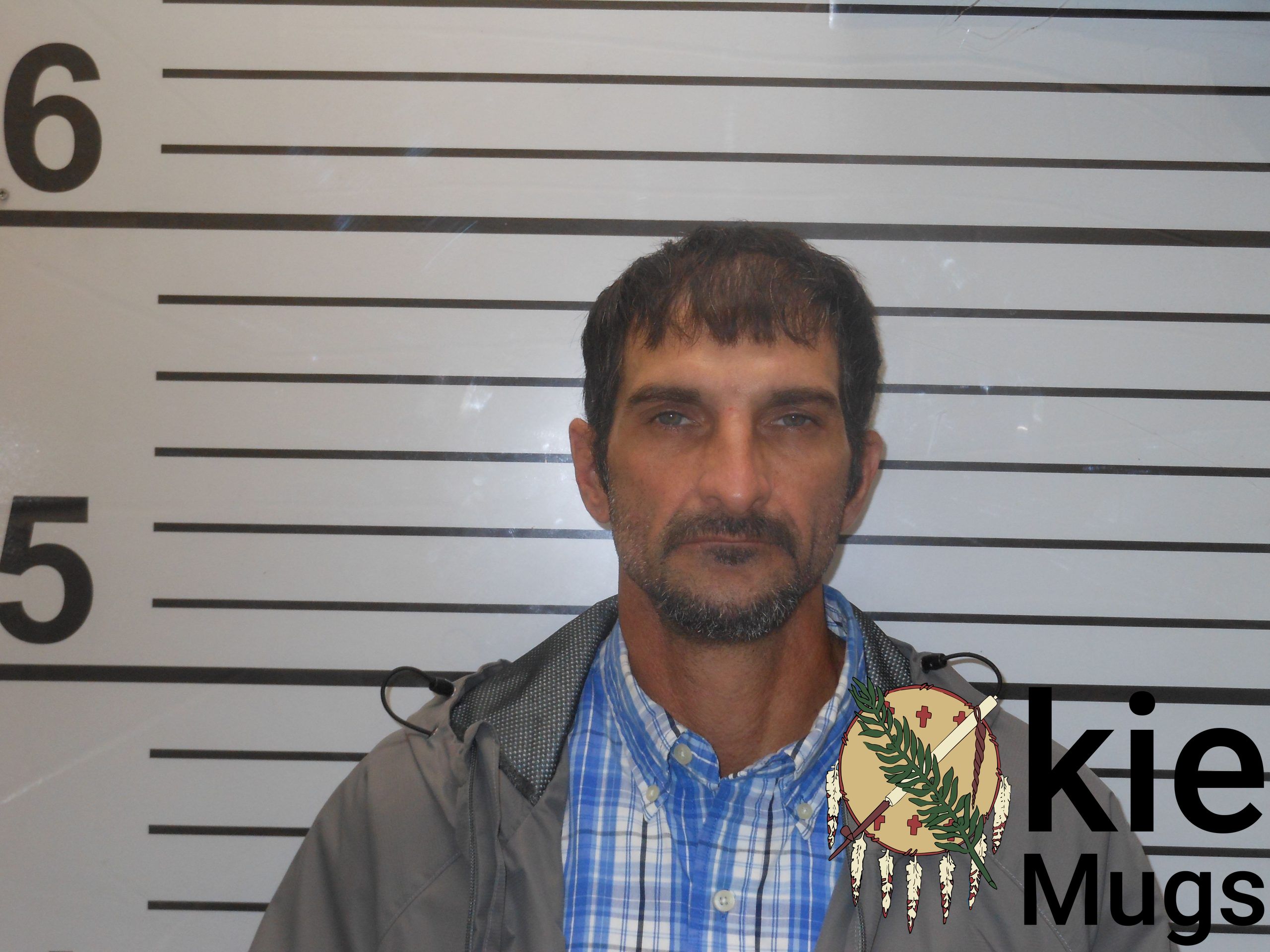 Booking photo of BRIAN RAY MCCRILLIS