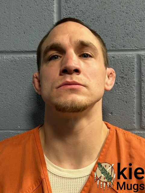 Booking photo of JOHNSON, AUSTIN
