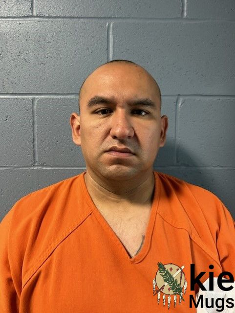 Booking photo of STEALER DARREN