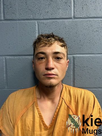 Booking photo of NAZRA DALY