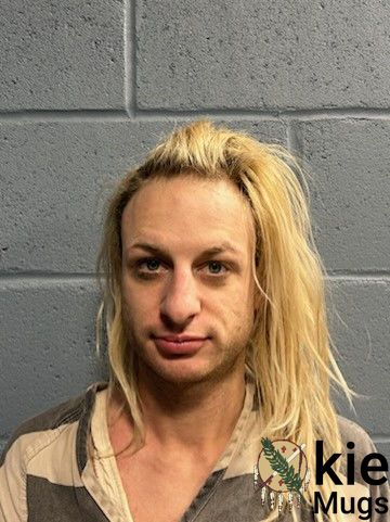 Booking photo of SASNETT, MONICA