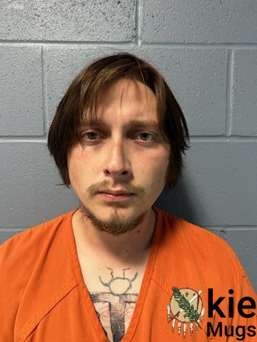 Booking photo of MATHEW IHASZ