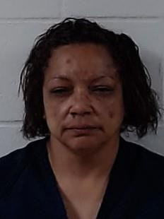 Booking photo of LAKISHA MARIE JOHNSON