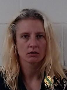 Booking photo of SARAH ANN RYAN