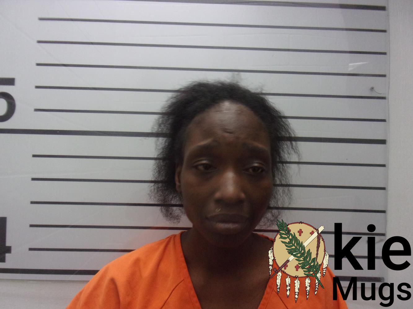 Booking photo of ANNA HARRIS