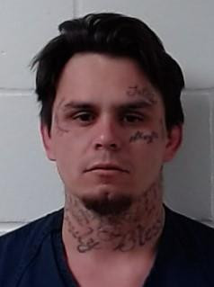 Booking photo of DETHEN ASHLEY SPARKS