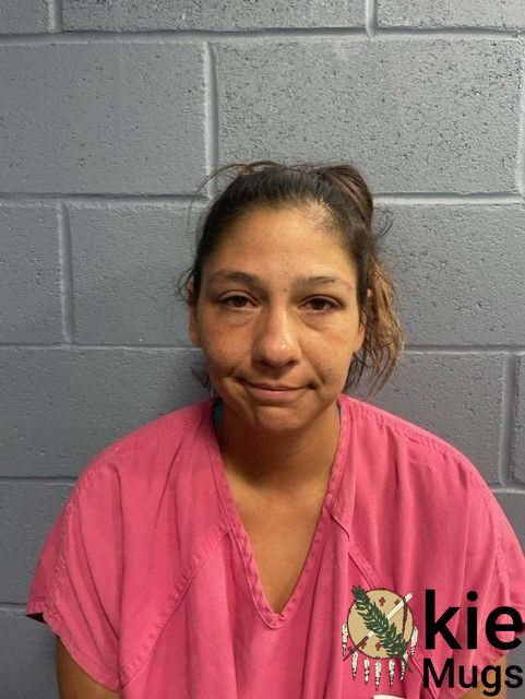 Booking photo of LYNDSAY VAUGHT