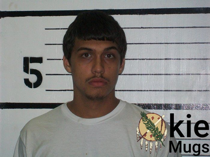 Booking photo of MICHAEL D. PARMELE