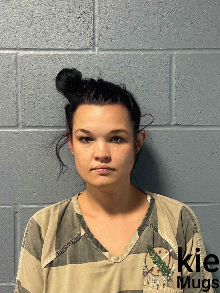 Booking photo of ALYSSA HIGGS