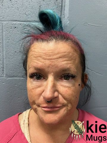 Booking photo of JENNIFER NORRIS