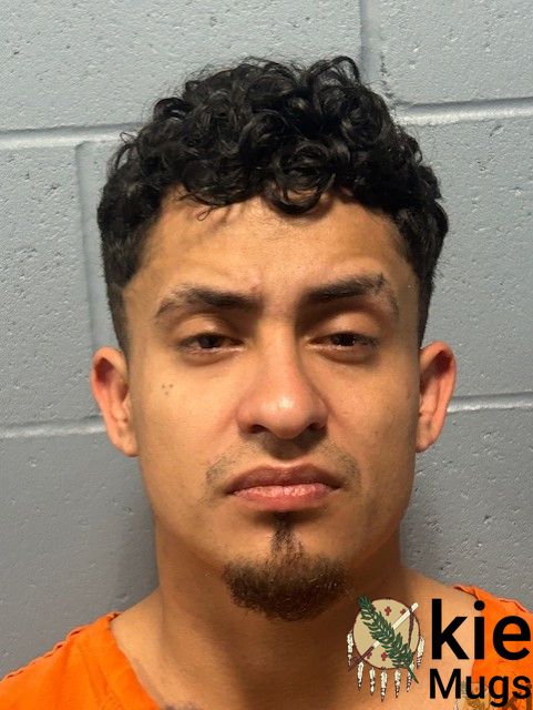 Booking photo of JESUS SANTANA