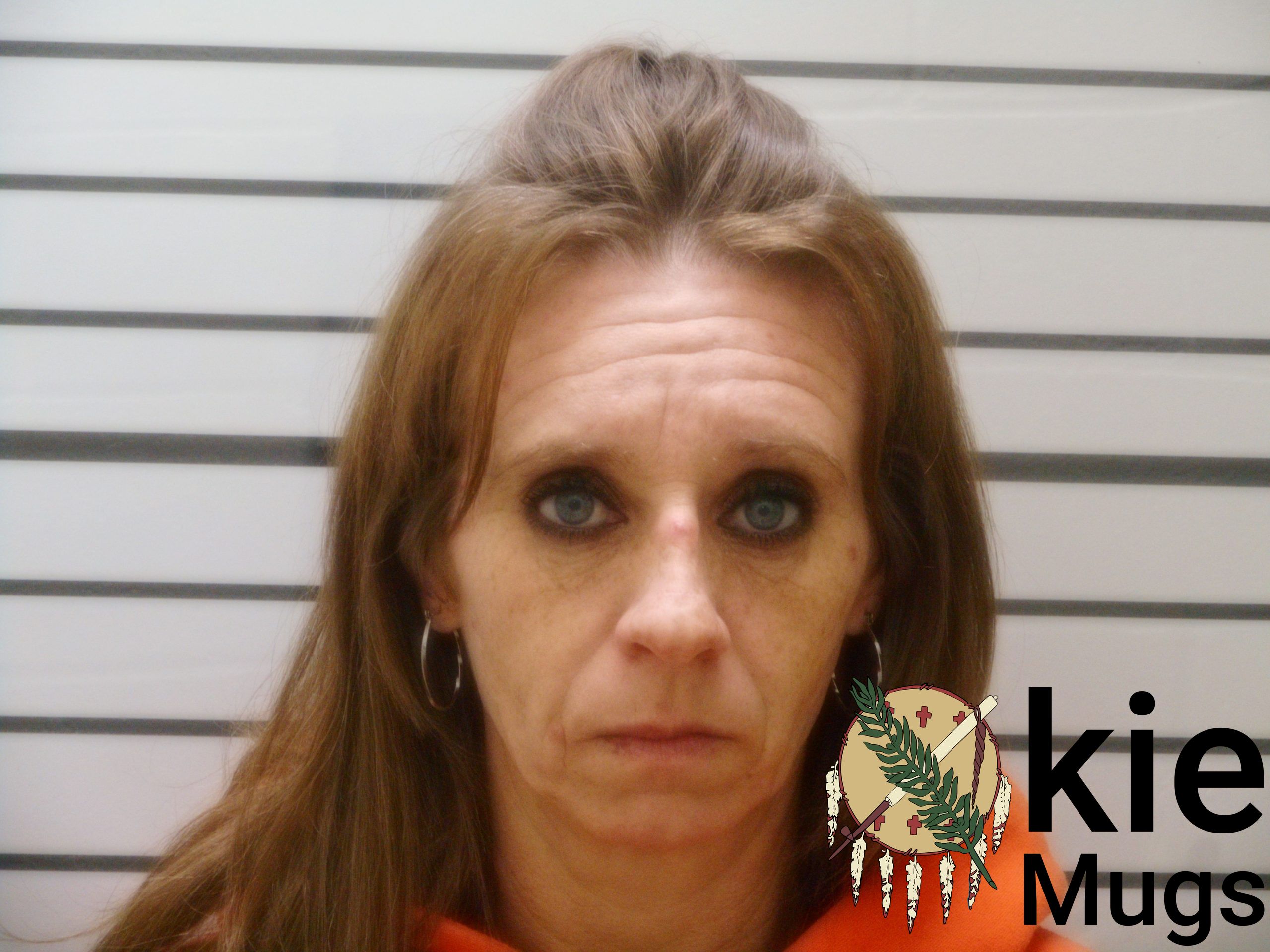 Booking photo of TAMMY LYNN KOVACS