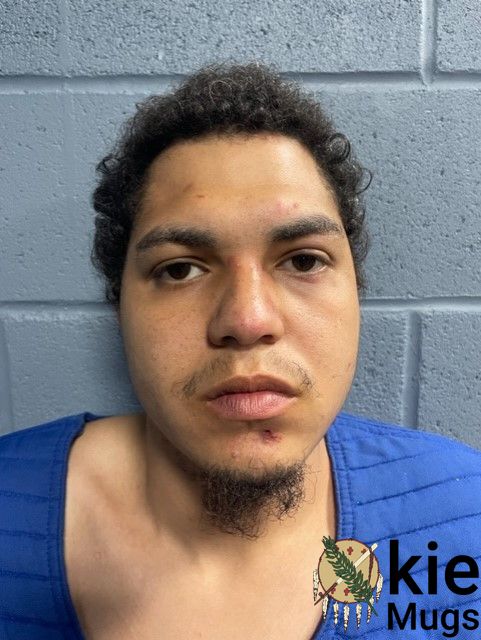 Booking photo of ROBERSON, DONATHAN