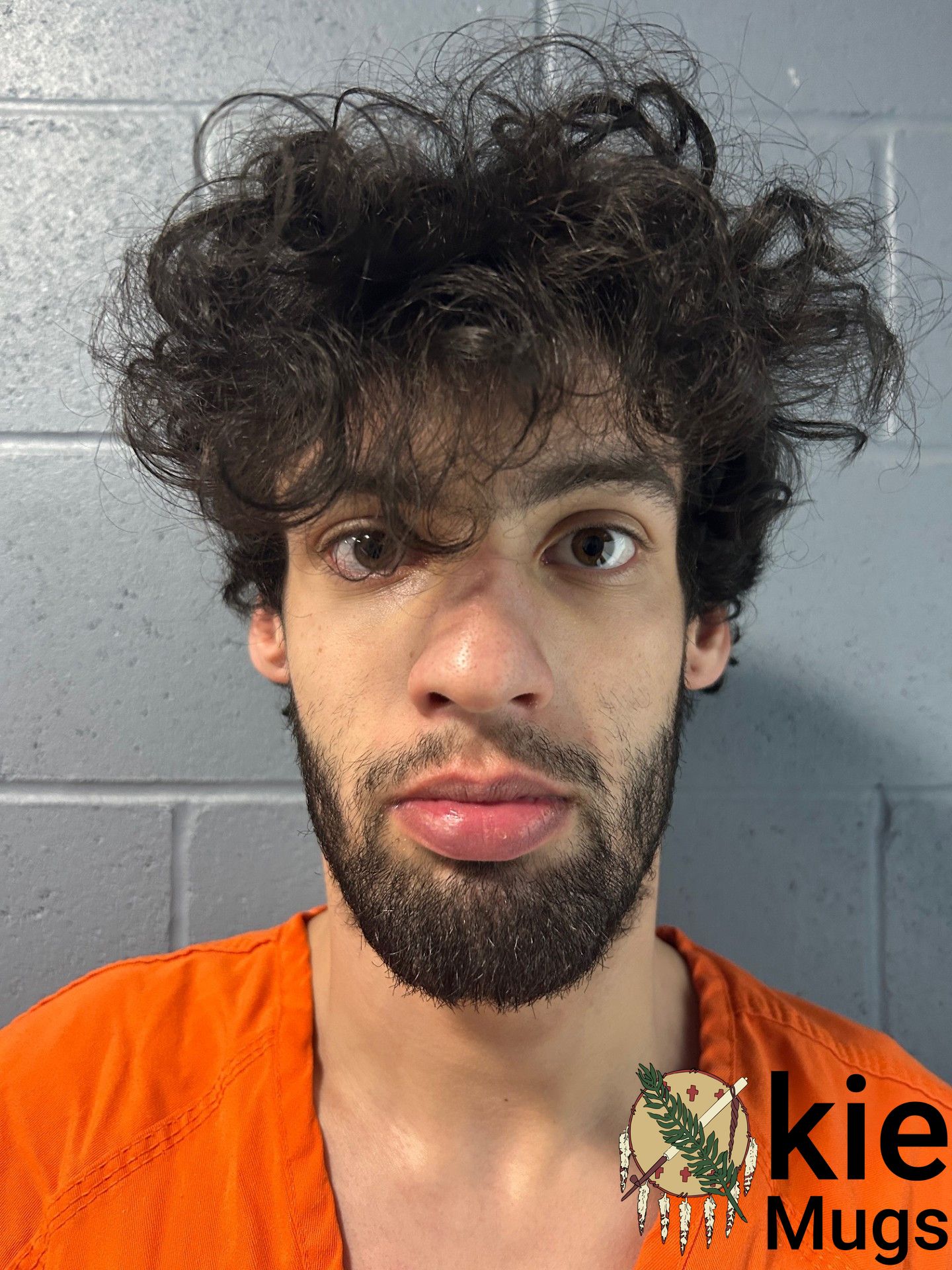 Booking photo of AIDEN BURNS