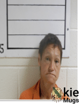 Booking photo of TRISHA KAYE WILSON