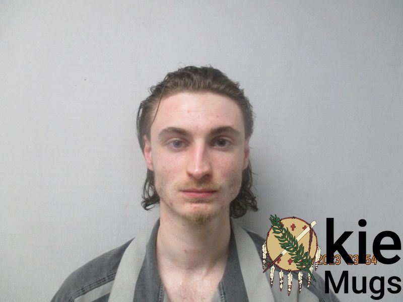 Booking photo of BRENDEN LANTZ