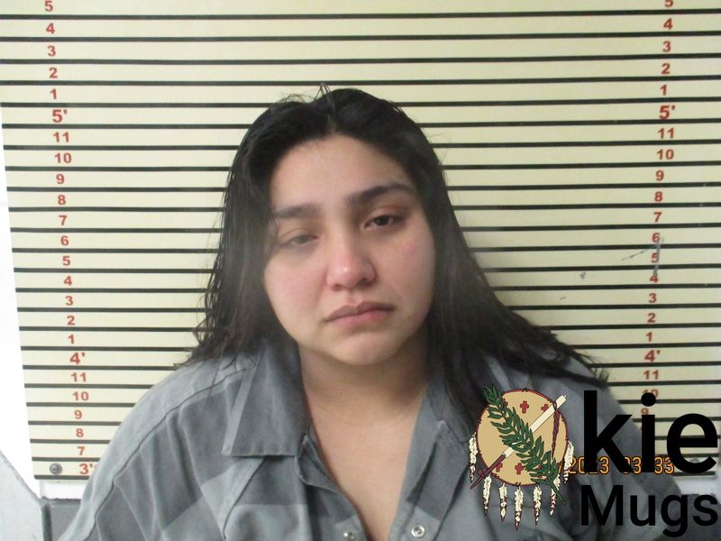 Booking photo of CHELSEA DAKE