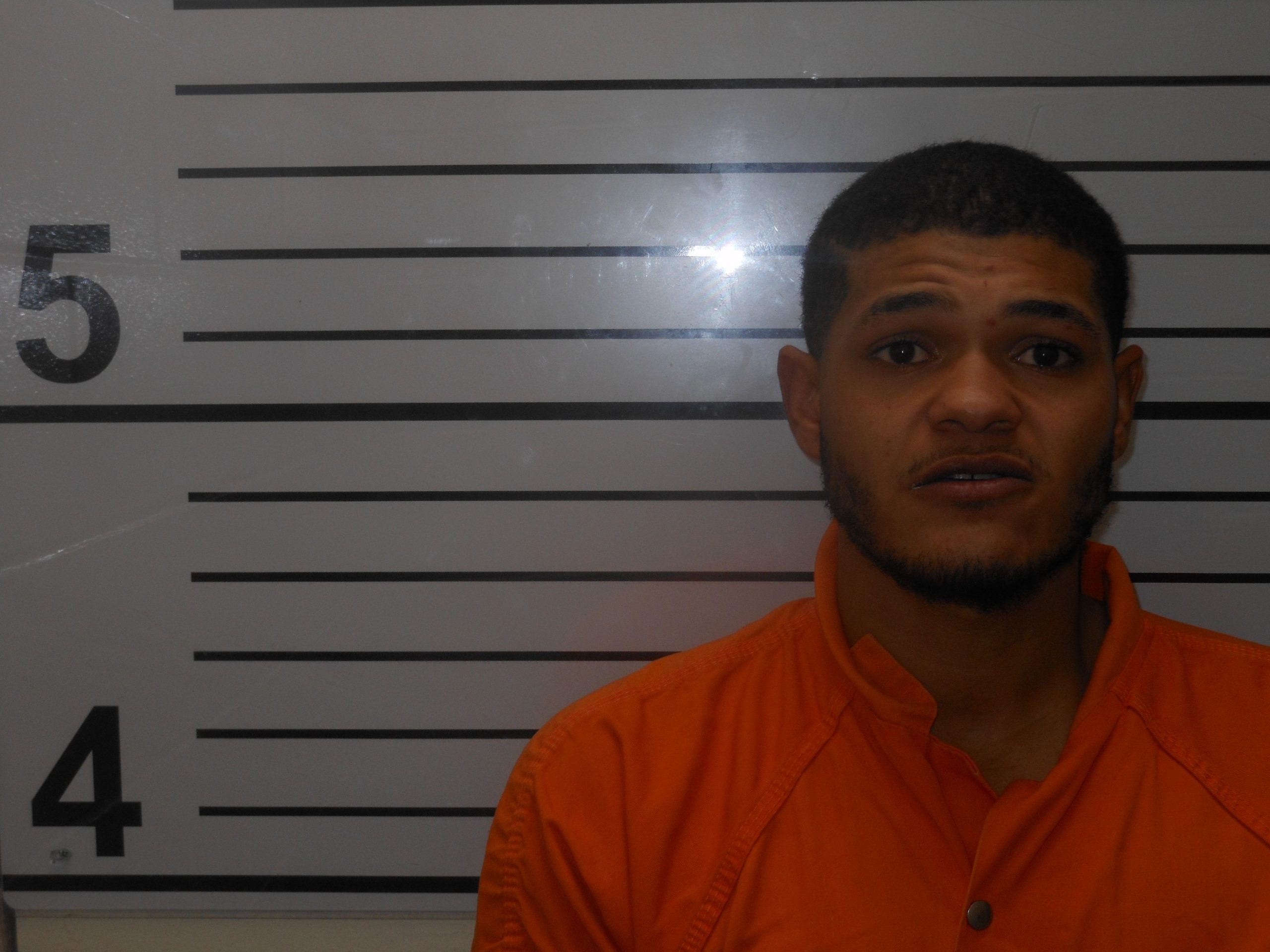 Booking photo of BRANDON EDWARD BRIDGES