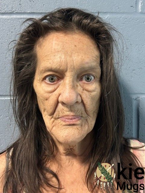 Booking photo of JULIE REED