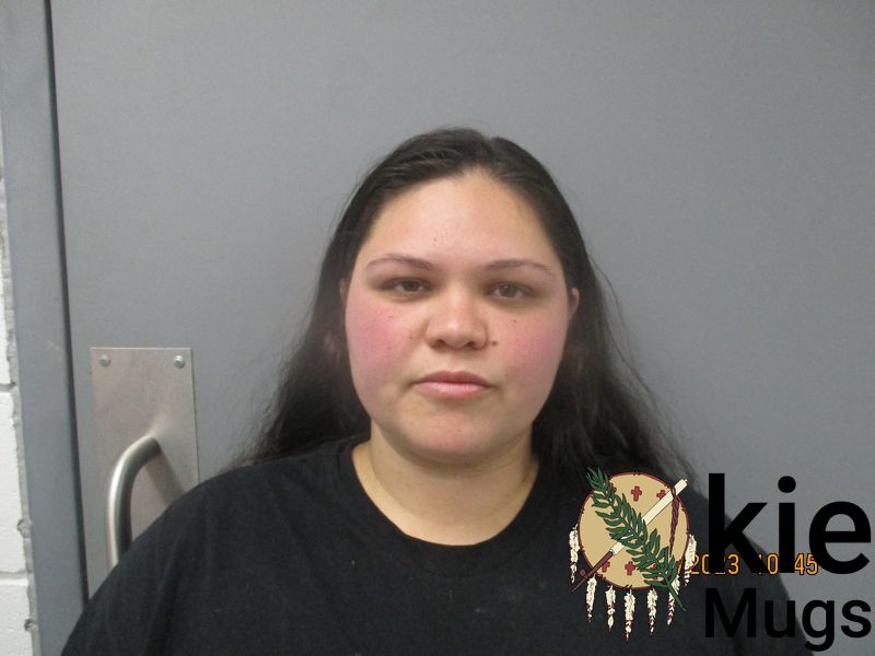 Booking photo of ERIKA EDWARDS GAINES - STEWART