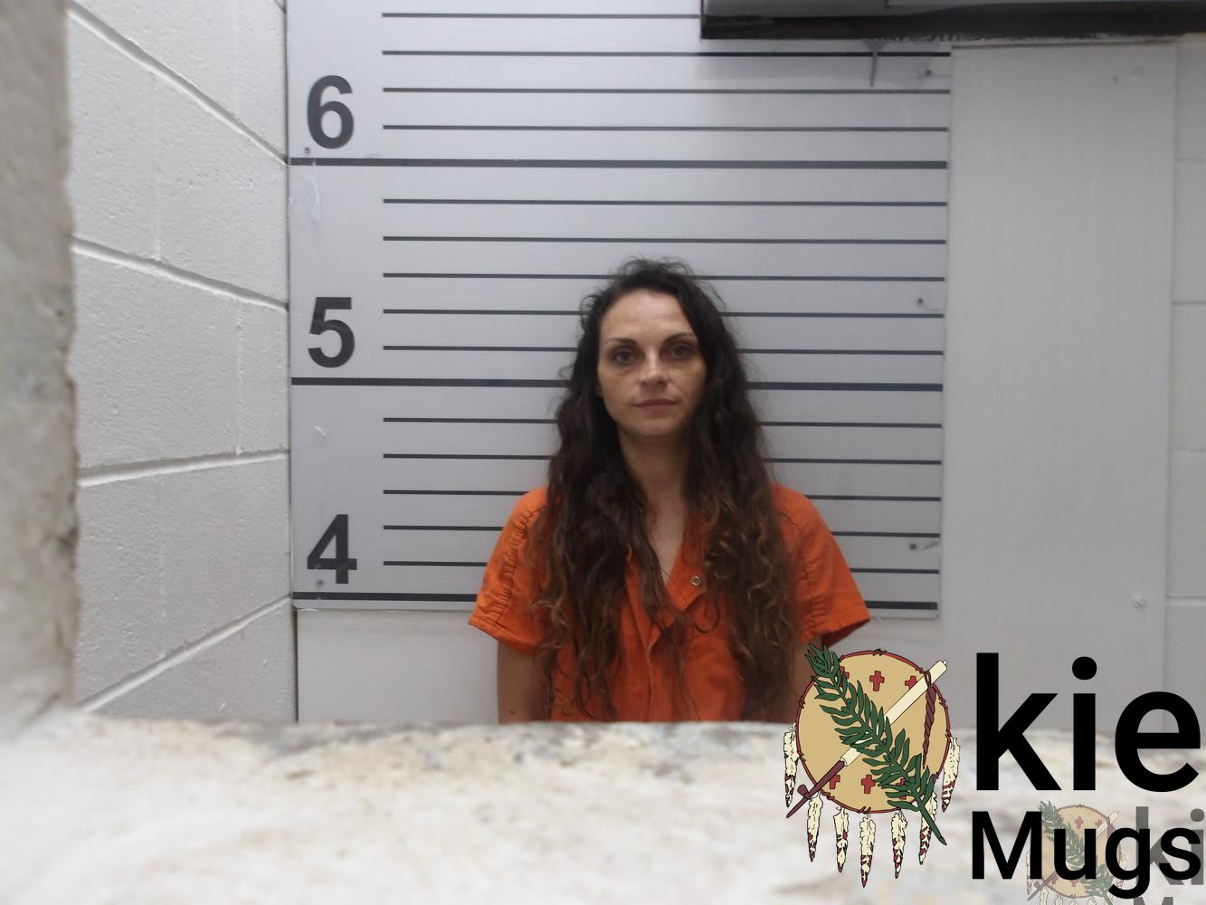 Booking photo of Brooke Briane Long