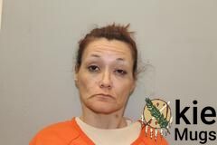 Booking photo of VALERIE ANN WEISER