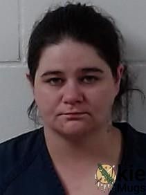 Booking photo of SHANNON DEASHLEY HANKINS