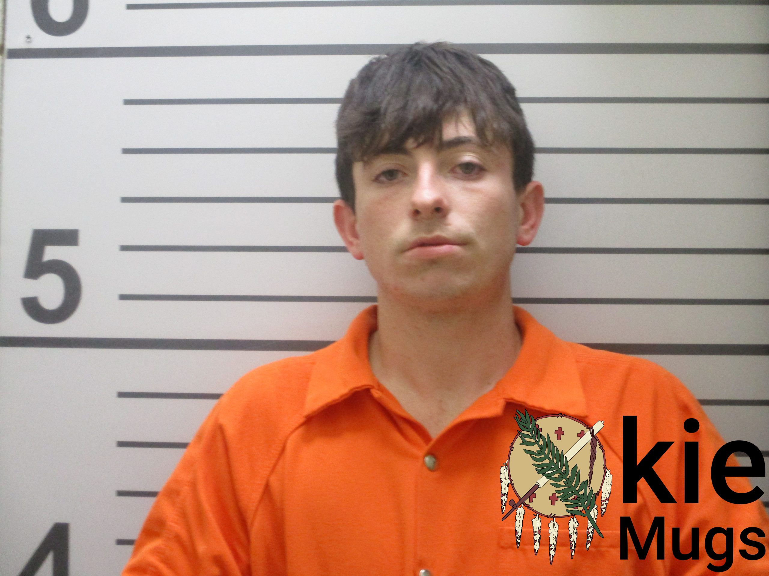 Booking photo of WALTER COLE HANSON
