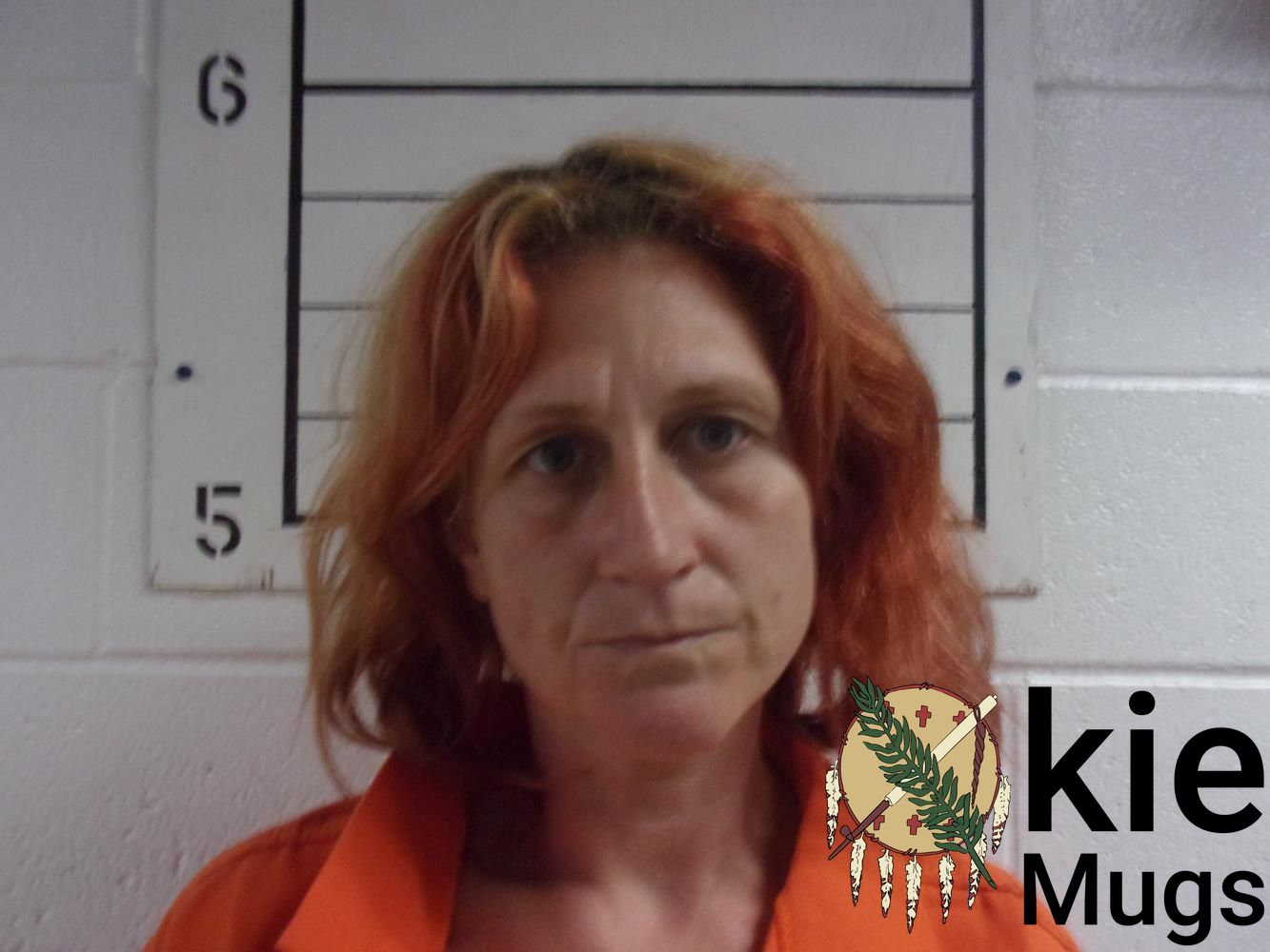 Booking photo of BOBBIE J WARD