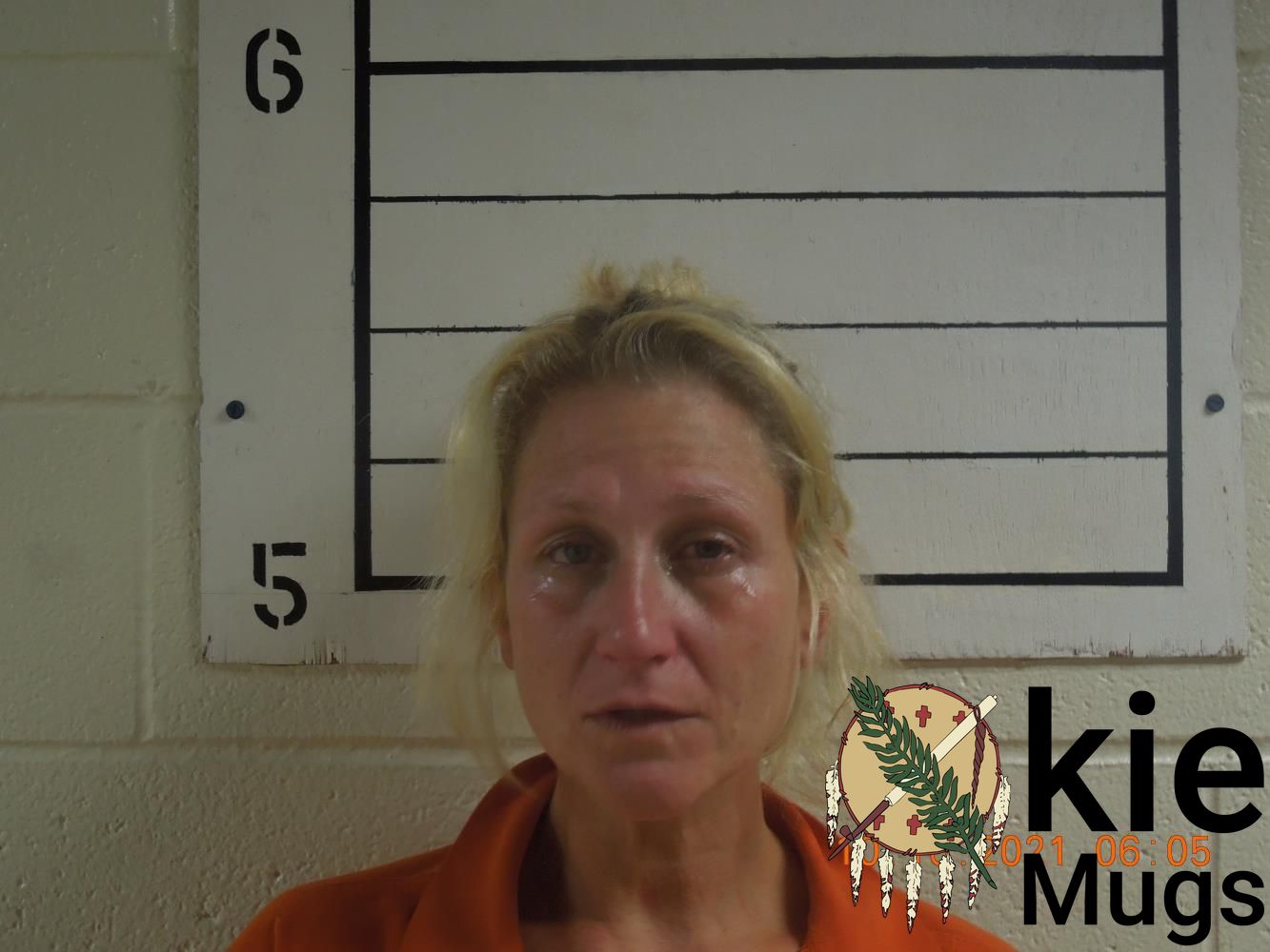 Booking photo of BOBBIE J WARD