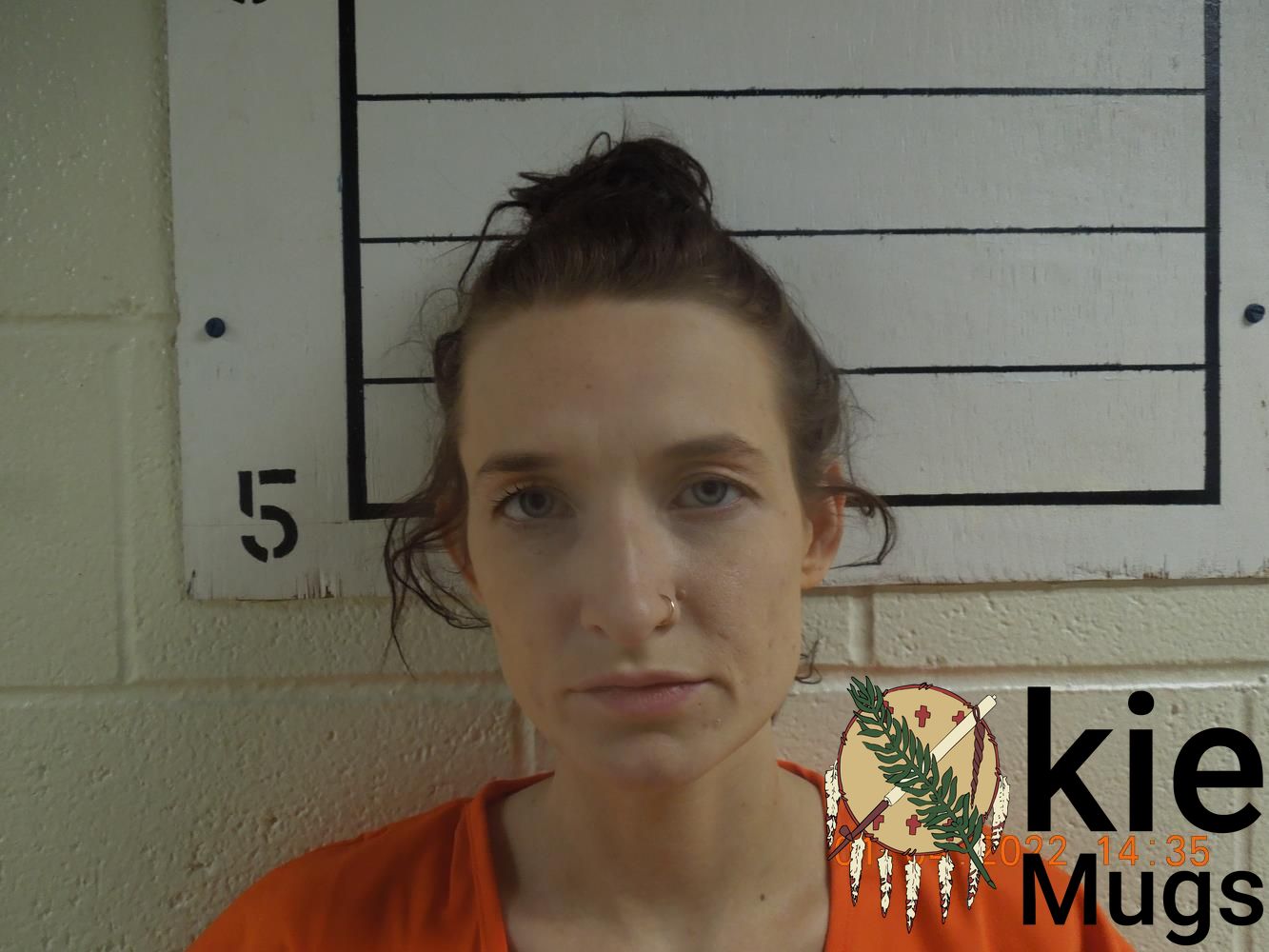 Booking photo of AUNDREA HAYLEY WHITE