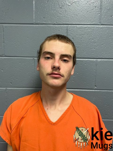 Booking photo of BLAKE LANDON
