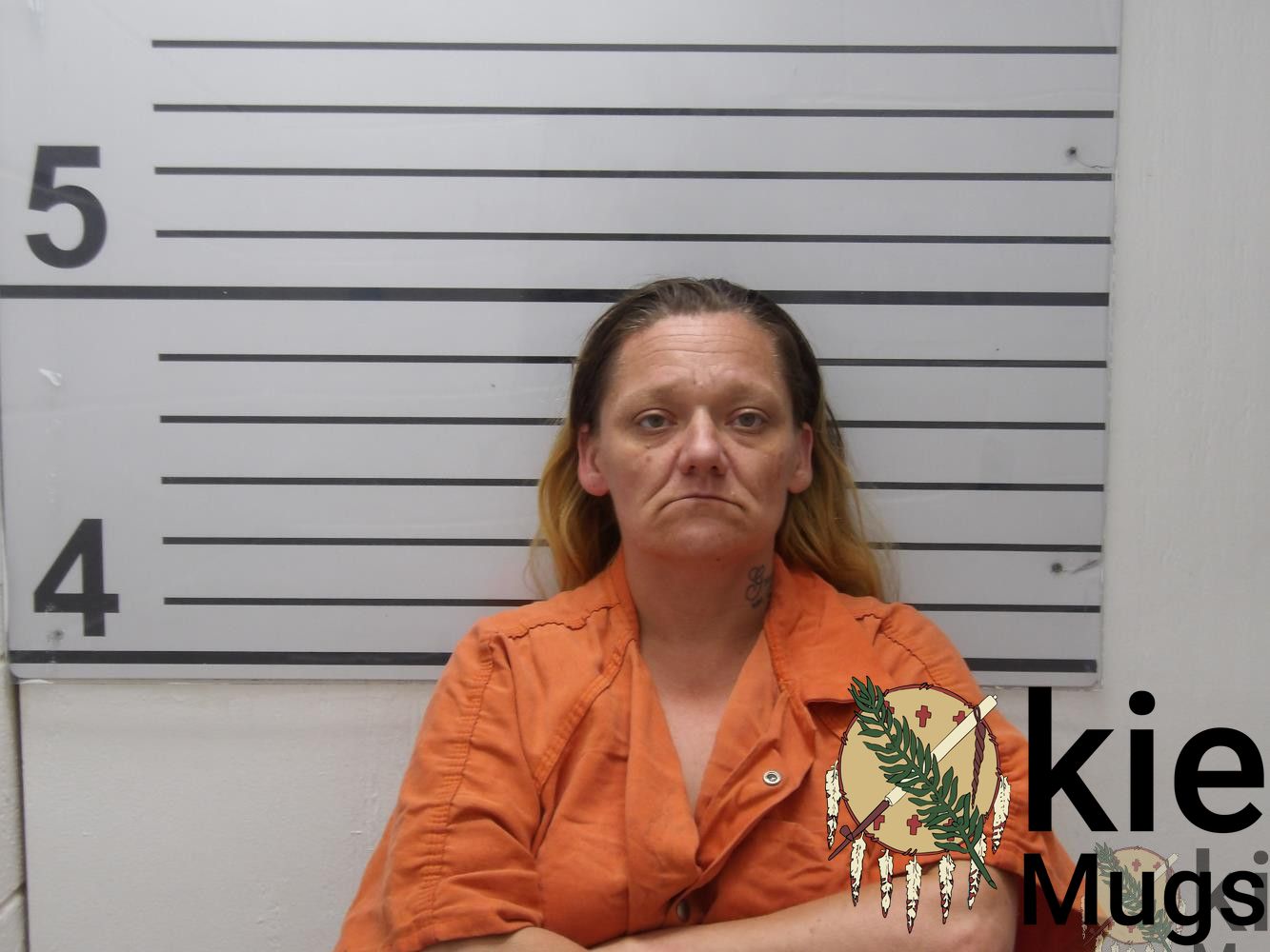 Booking photo of Delana Michelle Wilson